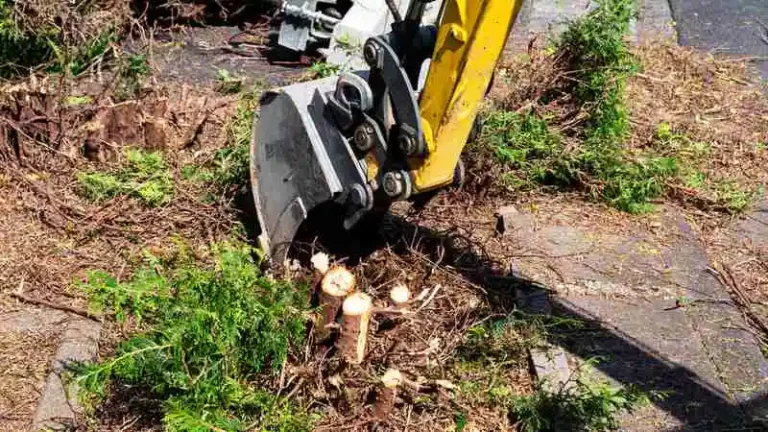 Can a Mini Excavator Remove Stumps? Unlocking the Hidden Capabilities of Compact Equipment